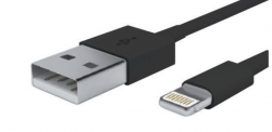 Cable noir 1m usb recharge  APPLE IPAD 5 EME GENERATION